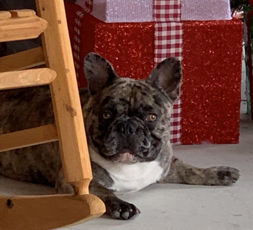 Mason