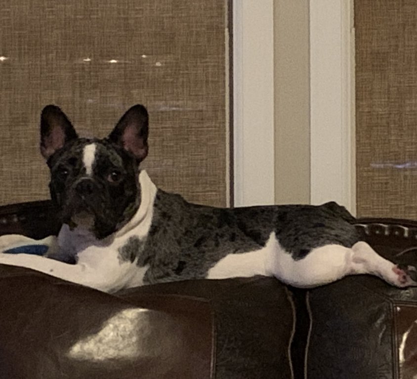 Mia