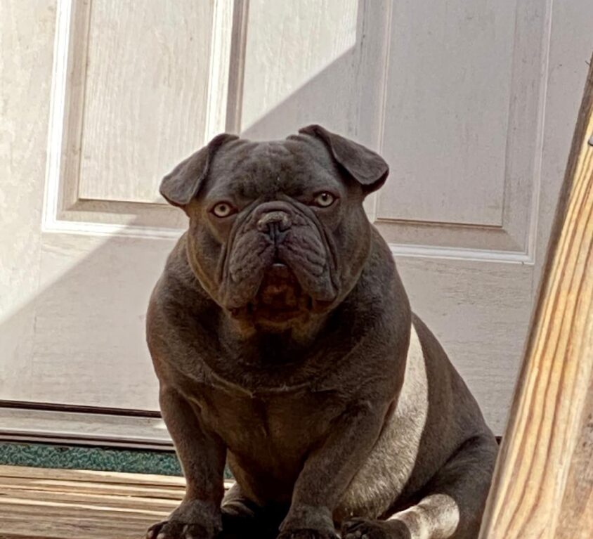 Rip Moonshine 10/11/2022