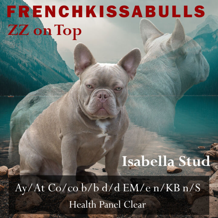 ZZ On TOP French KissaBulls