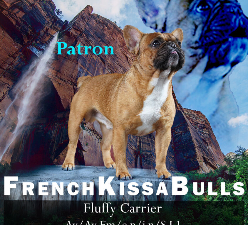Patron