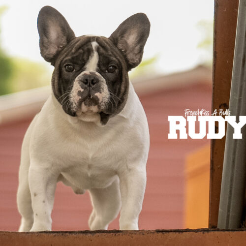 Rudy